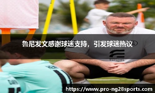 ng体育官方网站