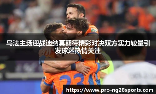 ng体育官方网站